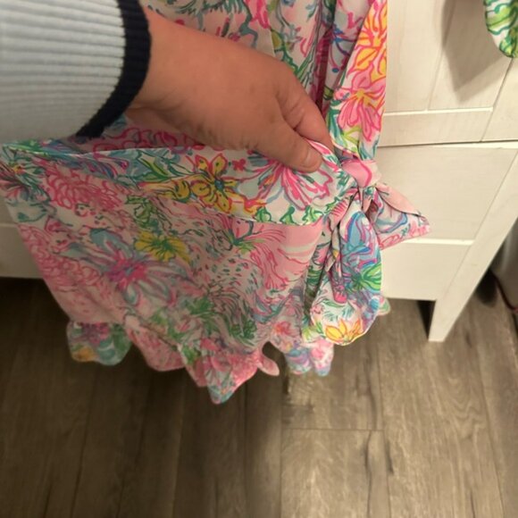 Lilly Pulitzer dress - Picture 5 of 13